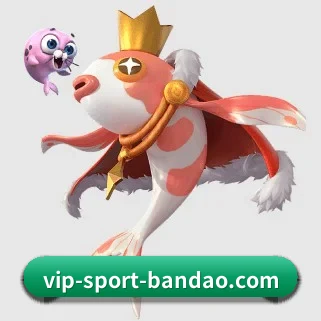 半岛综合 APP